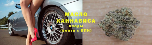 соль ск Каменка