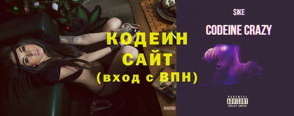соль ск Каменка