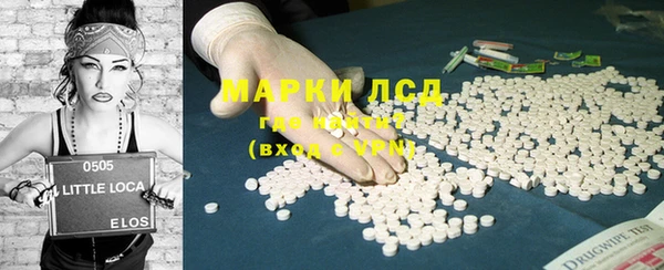 соль ск Каменка