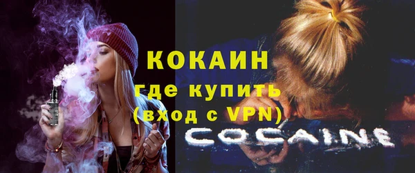 соль ск Каменка