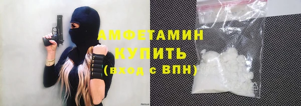 соль ск Каменка