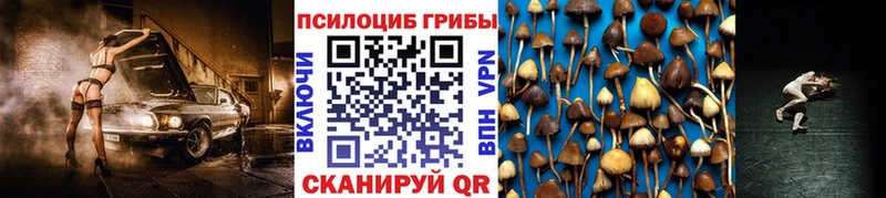 Купить закладки  Кувандык  Галлюциногенные грибы Cubensis 